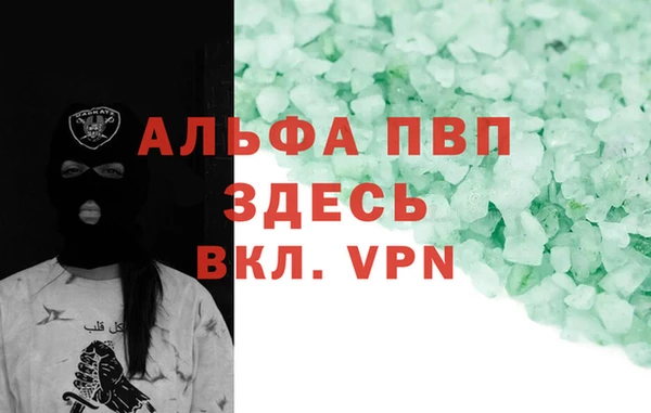 ECSTASY Новозыбков