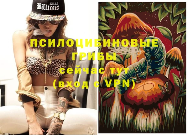 дмт Майский