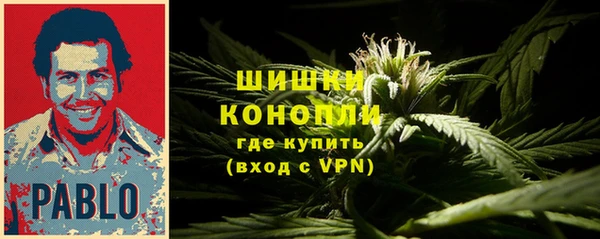 дмт Майский