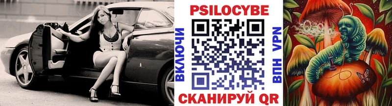 блэк спрут онион  Цоци-Юрт  Псилоцибиновые грибы Psilocybe 